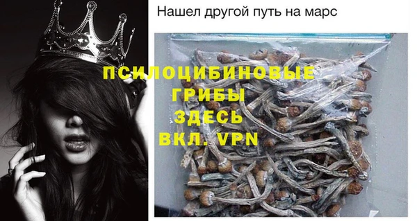 apvp Струнино