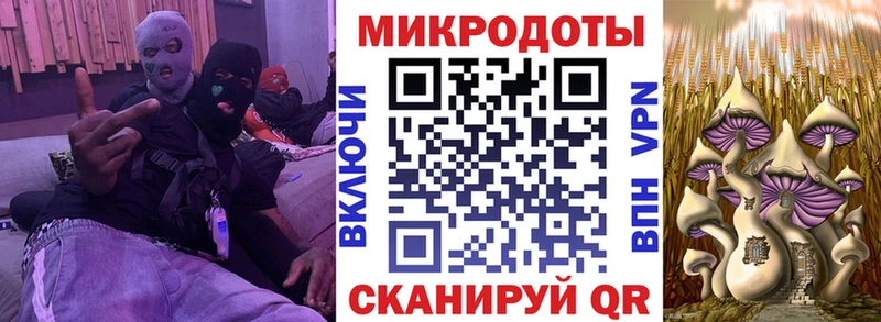 Псилоцибиновые грибы мухоморы  Купить  Тверь 